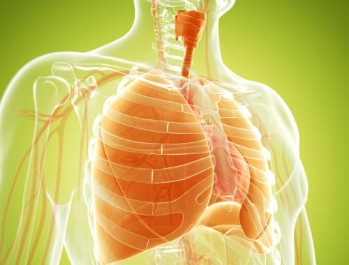 Remedios caseros para limpiarte los pulmones de forma increible ...