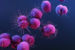 Remedios para las enfermedades venéreas