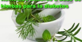 la valeriana la valeriana