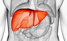 remedios increibles, limpiar el higado graso, remedios caseros, vida cotidiana