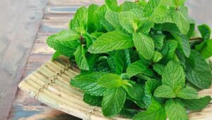 remedios caseros naturales,remedios caseros efectivos,Remedios Para La diabetes,remedios para el resfriado Remedios Caseros Naturales