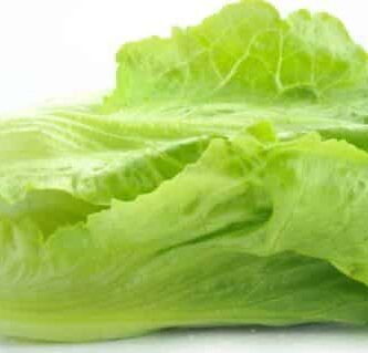 remedios caseros remedios caseros