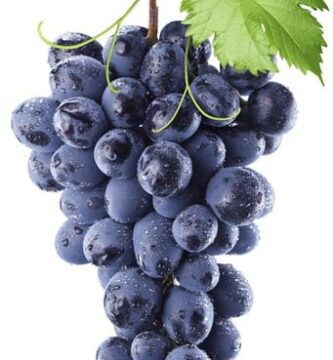 remedios caseros remedios caseros